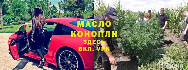 прущие грибы Зеленокумск