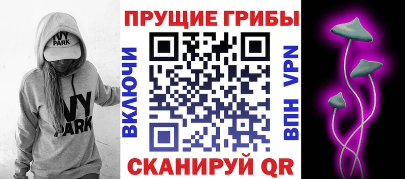 Галлюциногенные грибы мухоморы  Купить закладки  Щигры 