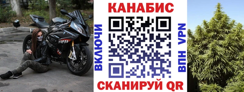 Купить где  Щигры  Конопля Ganja 